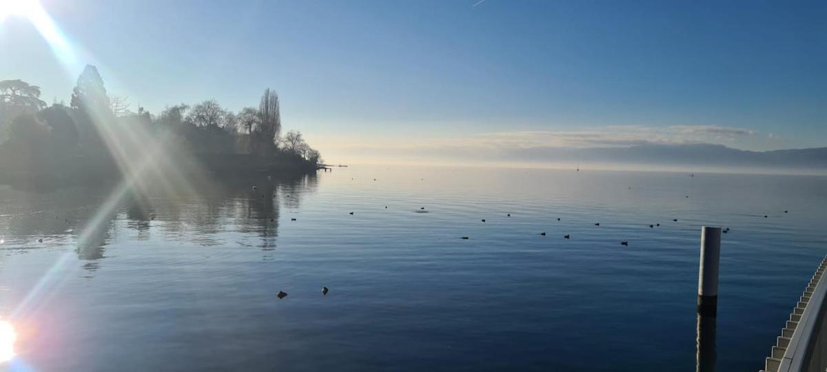 Le Bacchus Apartment Thonon-les-Bains Bagian luar foto